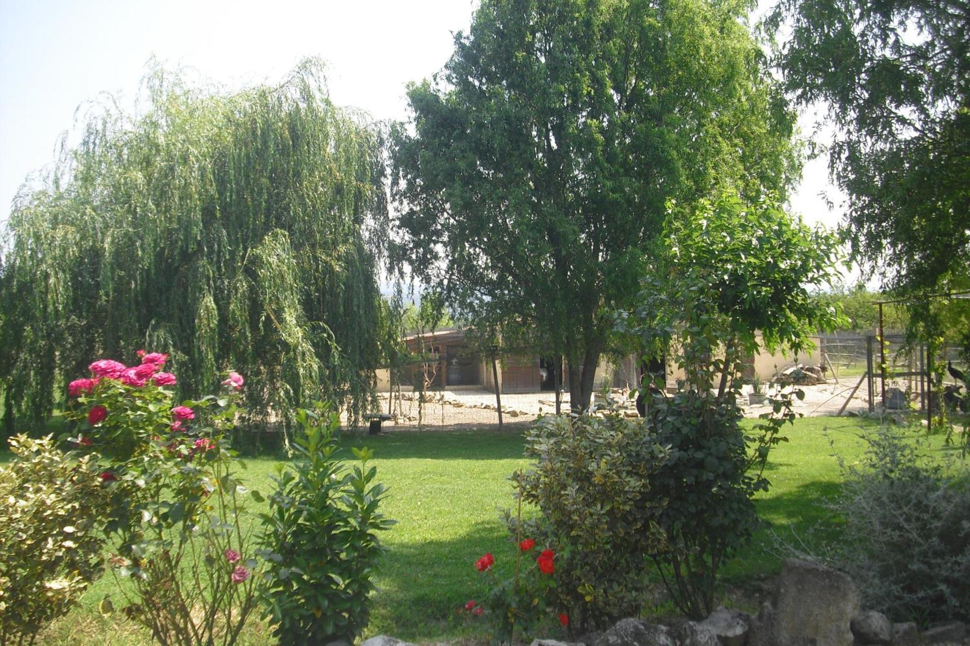 Ferienwohnung Lou Mas Li Pitchoun "Le Cortassien " Gordes Exterior foto